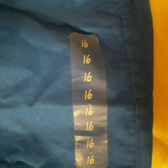 GAP New Womens Plus sz16 Skinny Blue Khaki Pants - Picture 15 of 16